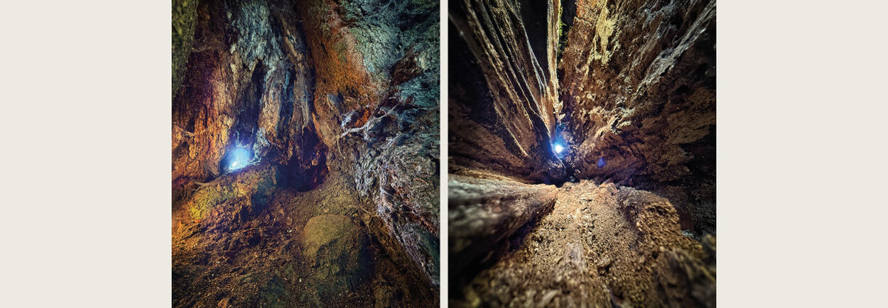 Atrium Sacrum__09.jpg